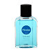 Pitralon Polar AS 100 ml (man)