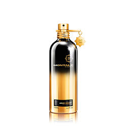 Montale Paris Aoud Night EDP 100 ml (unisex)