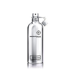 Montale Paris Fougères Marine EDP 100 ml (unisex)