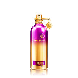 Montale Paris Ristretto Intense Café Extrait de Parfum 100 ml (unisex)