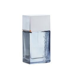 Superdry Steel EDC tester 75 ml (man)