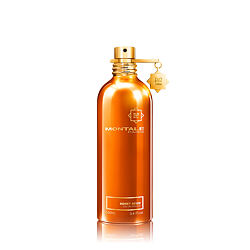 Montale Paris Honey Aoud EDP 100 ml (unisex)