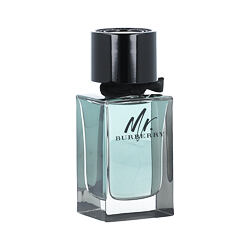 Burberry Mr. Burberry EDT 100 ml (man)