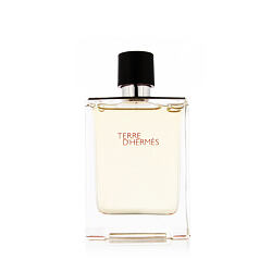 Hermès Terre D'Hermès EDT tester 100 ml (man)