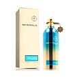 Montale Paris Herbal Aquatica EDP 100 ml (unisex)