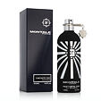 Montale Paris Fantastic Oud EDP 100 ml (unisex)