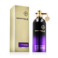 Montale Paris Oud Pashmina EDP 100 ml (unisex)