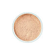 Artdeco Pure Minerals Mineral Powder Foundation 15 g