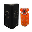 State of Mind Aesthetic Turbulence EDP 100 ml (unisex) - Starý obal