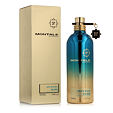 Montale Paris Intense So Iris EDP 100 ml (unisex)